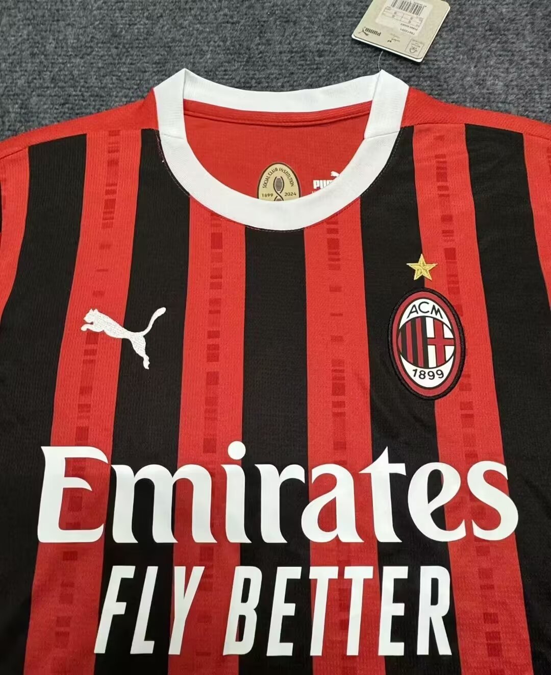 Milan Jersey 2024/25